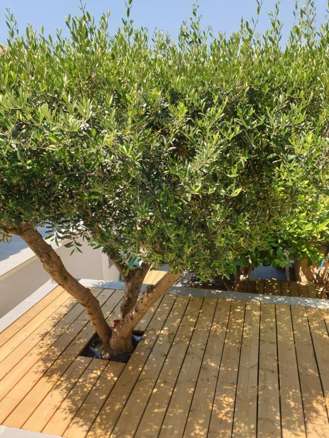 Les Terrasses Des Anthenors Bed & Breakfast Ensues-la-Redonne Exterior photo